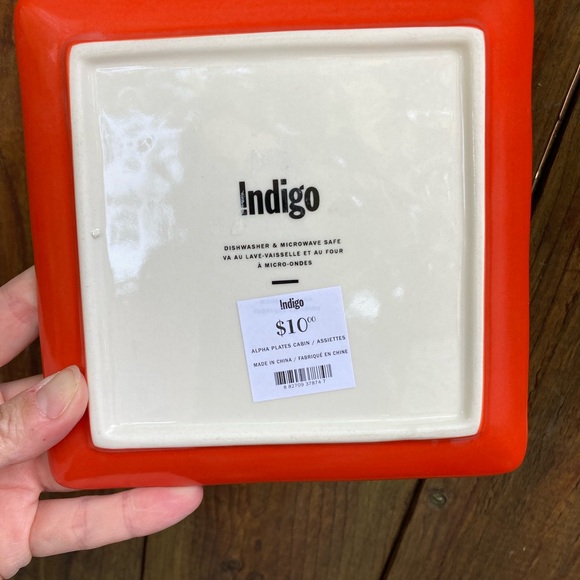 Indigo dishes. Cozy Cabin. Set of 4. NWT! - Picture 4 of 5